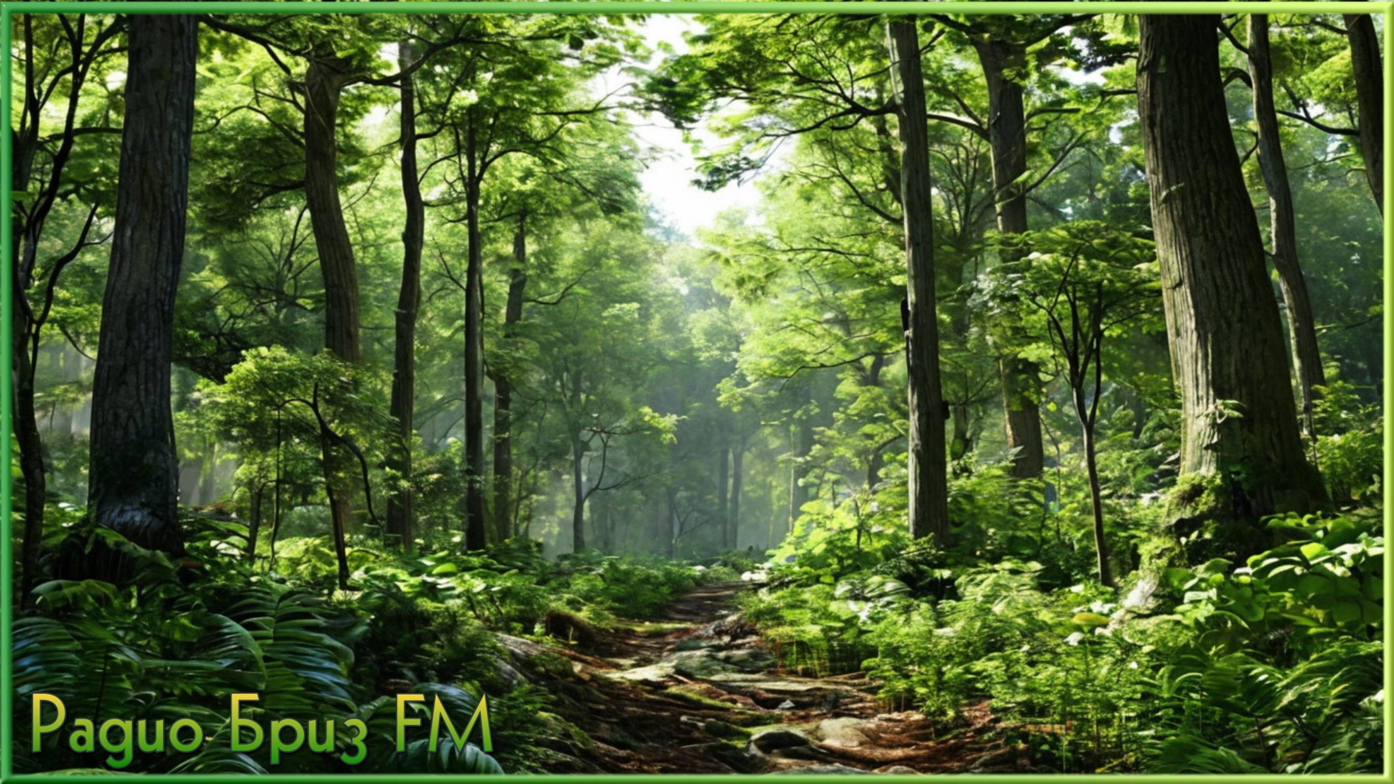 ♬радио •Бриз FM• - •Звуки Леса•