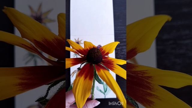 Рудбекия, акварель