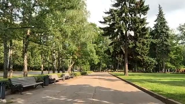 Уволенная из дома богача за кражу, сиделка нехотя брела вдоль дороги… А услышав разговор иностранцев