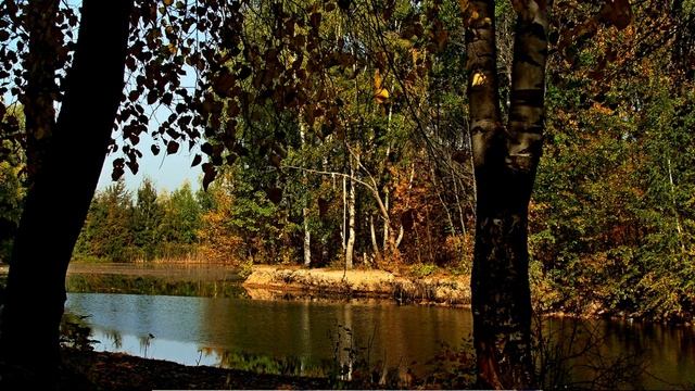 О, Натали (муз. Е Мартынова сл. А. Дементьева)