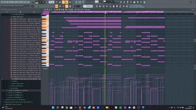 HOW TO MAKE PAIN LOOPS FOR ROD WAVE FL STUDIO 20 TUTORIAL