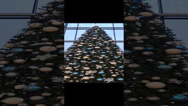VID_20250116_162952.mp4
