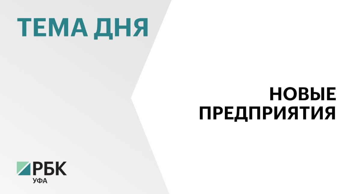 Башкортостан вошёл в число регионов-лидеров по росту числа компаний в 2024 г.