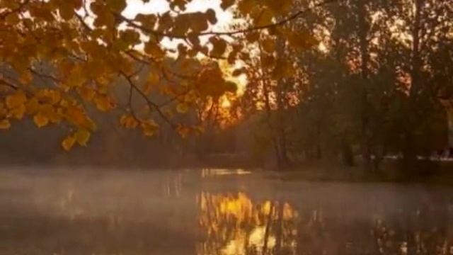 Костры - Рок острова