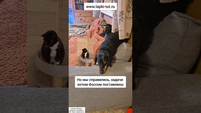 пятница