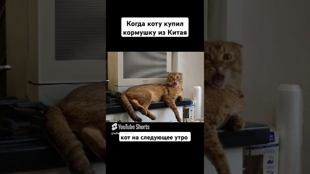 товары из Китая