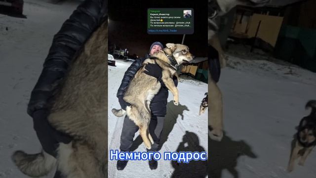 Джагер 3.5