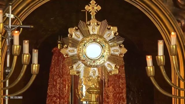 Preparation for Pentecost | Adoration led by Fr Michael Payyapilly VC | English | Divine Colombo