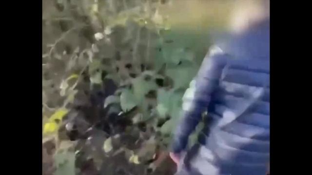 Арестован сочинский директор депозитарного центра за придуманную им схему обмана клиентов