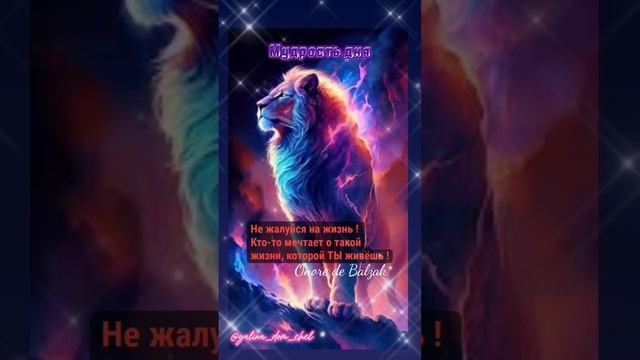 Мудрость дня 1