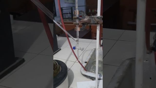 clevenger apparatus for distillation | Essential oils