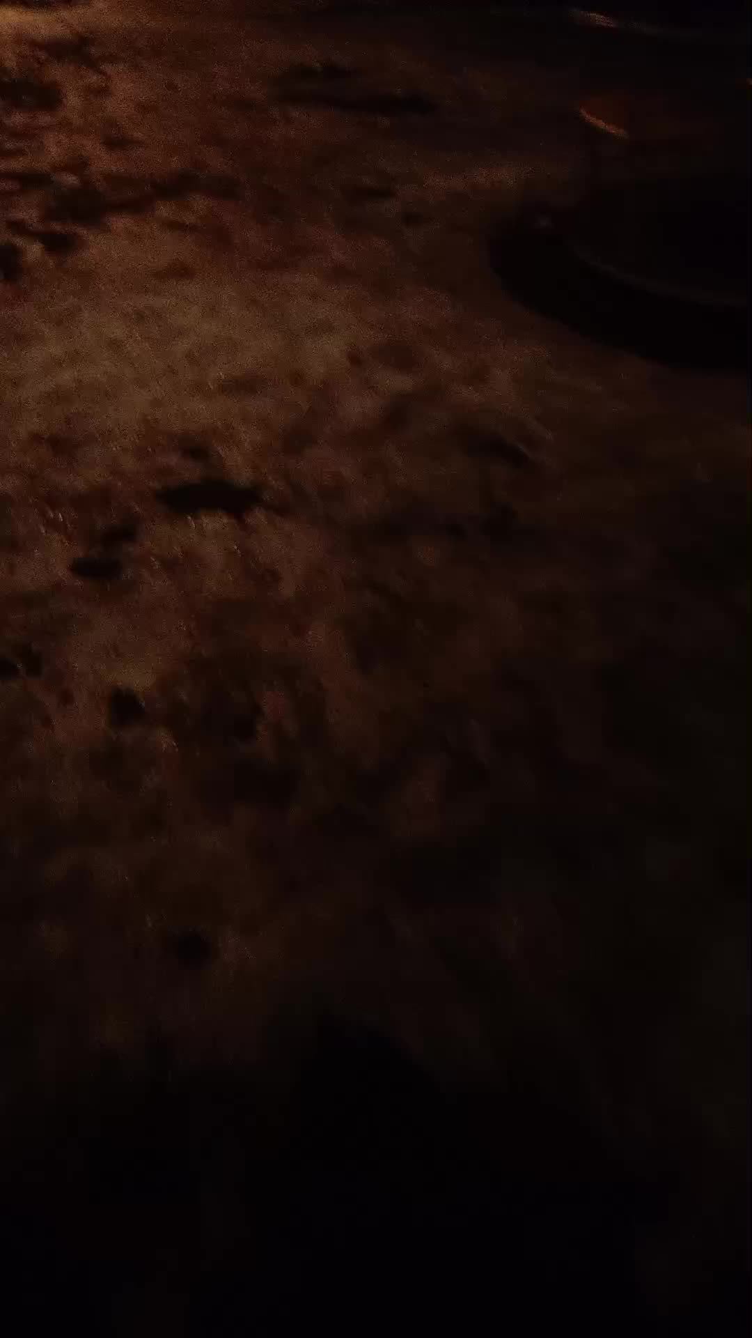 догонялки