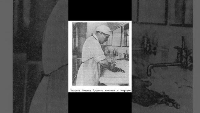 Неистовый Нилыч