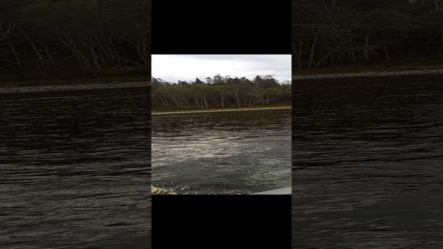 по горной реке