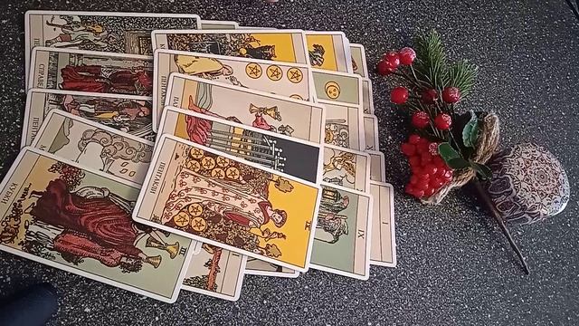 VID_20250117_142258.mp4
