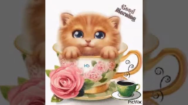 рыжий котик к чашке🌺🍃🍵