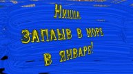 Случайное видео "Тарзана" в Ницце в январе