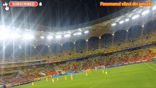 România 2 -0 Liechtenstein-bucuria suporterilor la goluri-atmosfera de amical in peluză