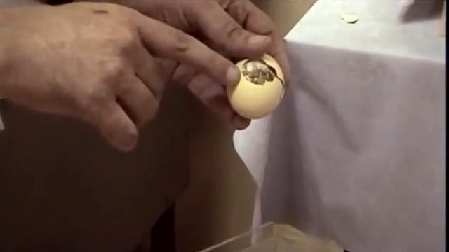 27  Невидимый враг
