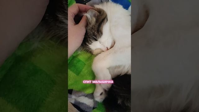 Хорошо так как спится