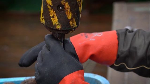 Браконьеры попались сахалинским пограничникам с уловом в 18 тонн морского ежа