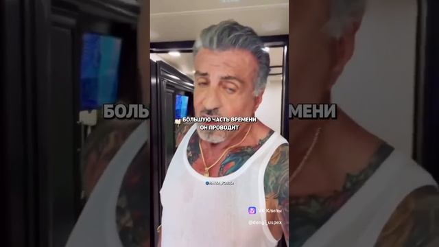 Один удар Сильвестра Сталлоне