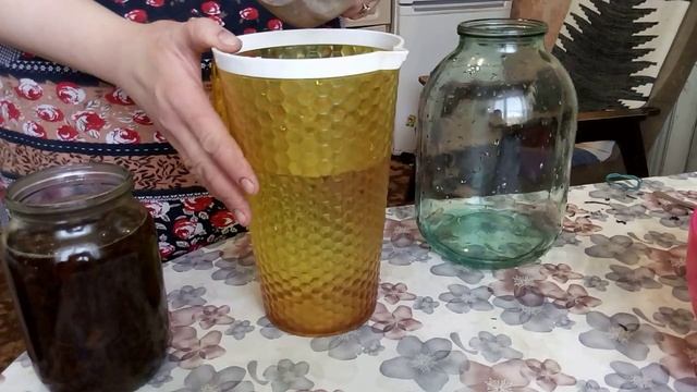 Чайный гриб. Секреты приготовления и уход