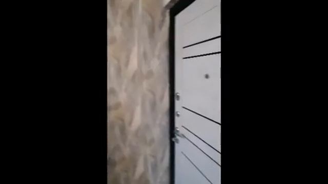 Межкомнатные двери ТЛ 5 цвет Бетон Снежный и Входная дверь в одном стиле/ЭКОШПОН В НАЛИЧИИ