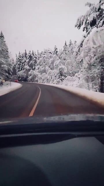 #зимняядорога #снегопад #снег #зарулем #дорога #зима