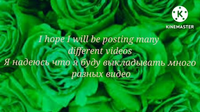 My first video(Моё первое видео)