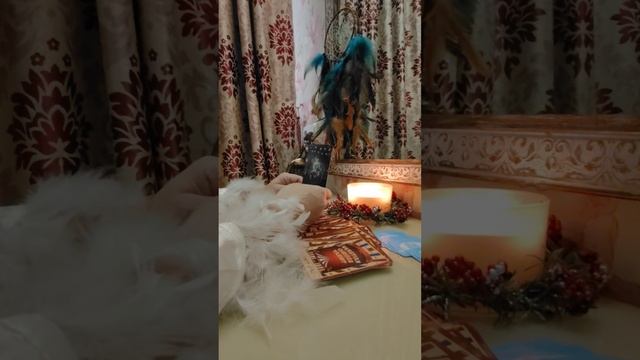 1000049069.mp4