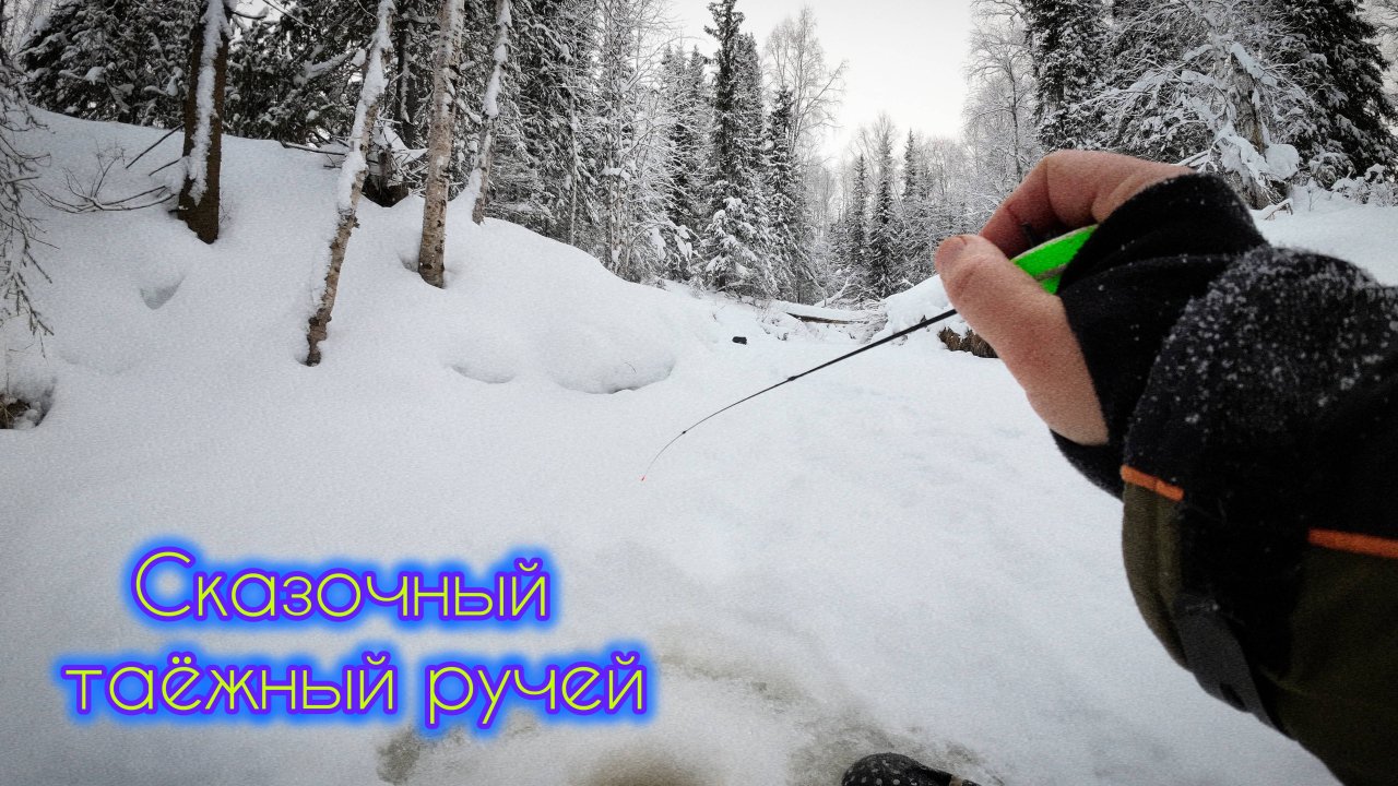 ДУШЕВНАЯ РЫБАЛКА ТАЁЖНЫЙ РУЧЕЙ #чебак #ручей #тайга #рыбалка #сибирь #мохтик #таёжный #елец #fishing