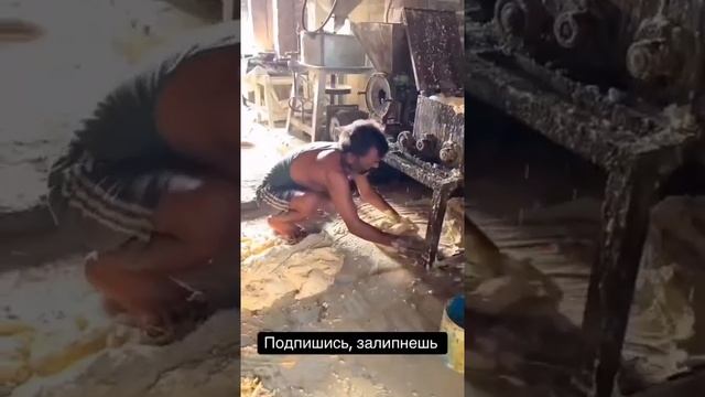 Нечистоплотность и дизентерия в индийских странах.