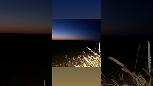 🌅🧡