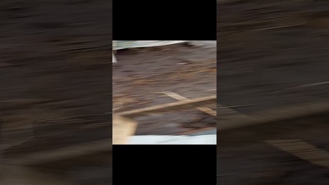 Африка Жара в Январе.