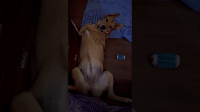 У вас есть бессонница?🙈😅