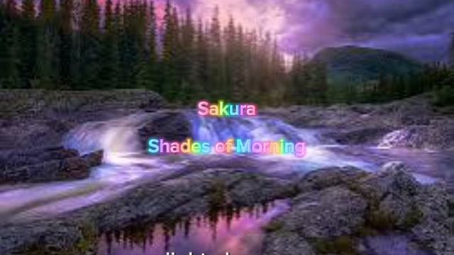 Sakura-« Shades of Morning»
