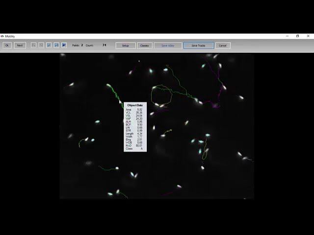 MMC Sperm: Siberian sturgeon, sperm motility analysis