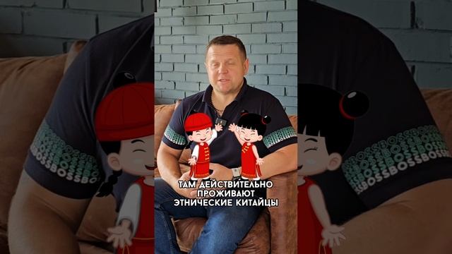 В Китае едят собак и кошек?