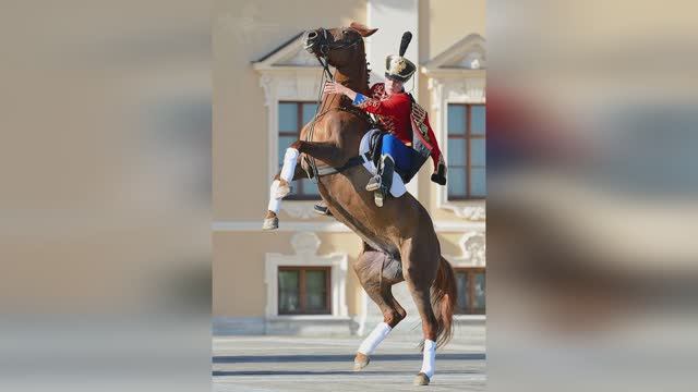 Рыжий конь