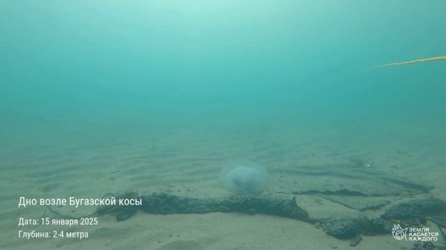 Вот так теперь выглядит дно Чёрного моря после разлива мазута с танкеров