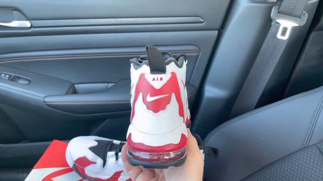 Nike Air DT Max 96 White Varsity Red shoes