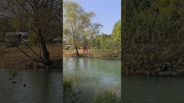 Пруд в селе Шопино, Белгородская область