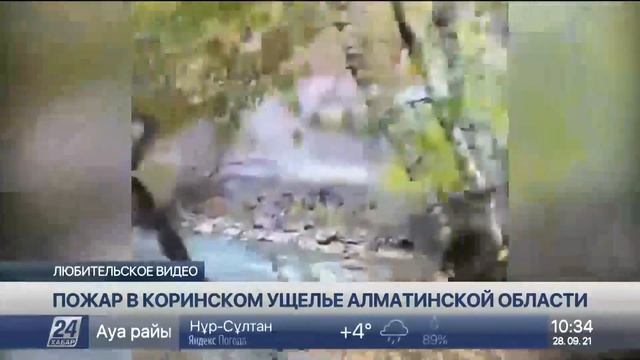 Крупный пожар в ущелье тушат в Алматинской области