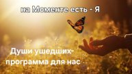 Встреча с Душой, случай из Жизни. Во что мы верим... SeelenProgramm