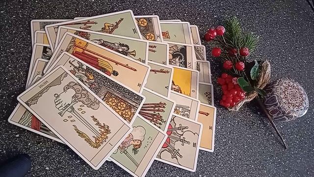 VID_20250117_140738.mp4