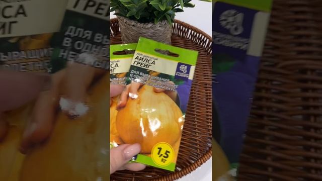 С луком будет эксперимент.
