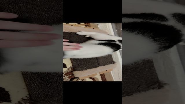 1000002190.mp4