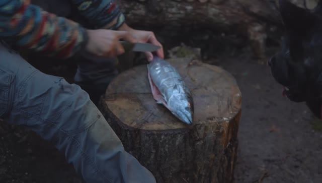 SOLO  Building a Secret Dugout UNDER a Fallen BIG TREE