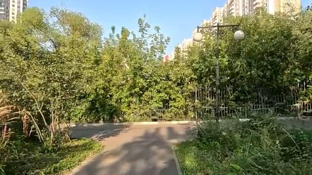 жена решила сделать сюрприз